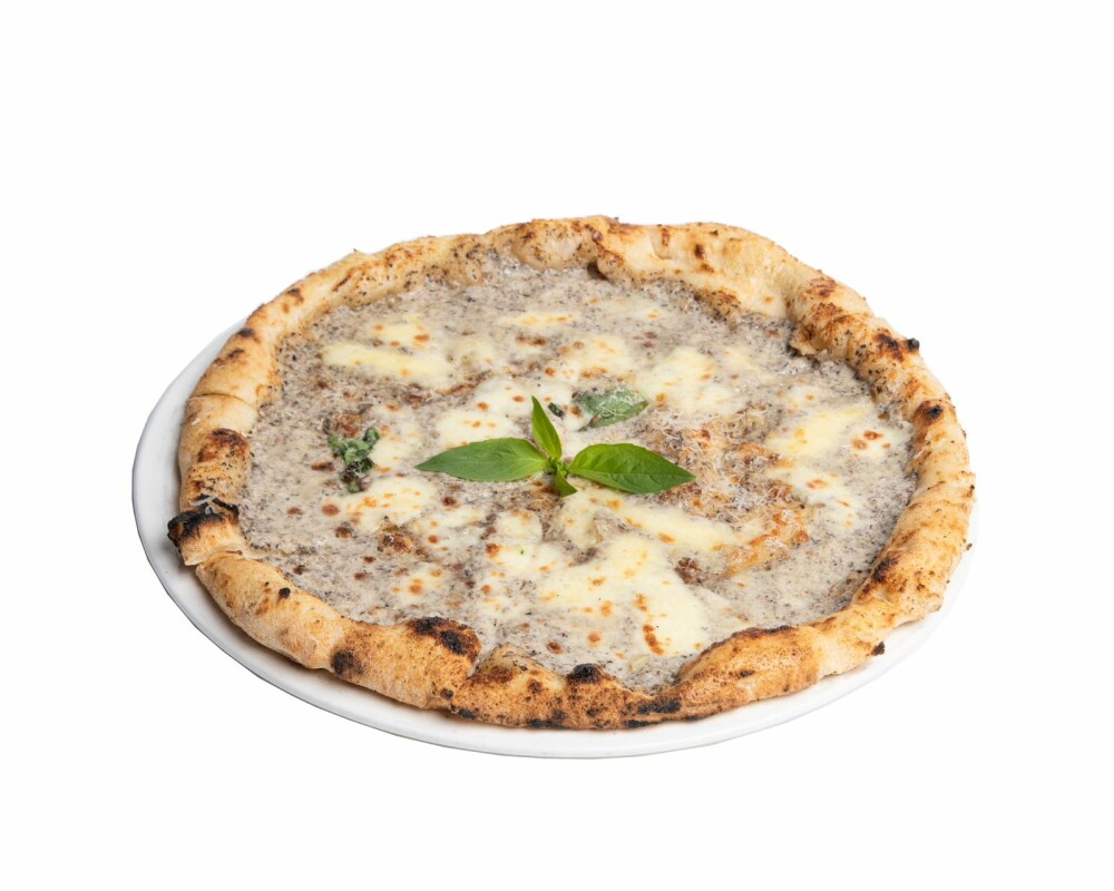 بيتزا ترافل / pizza truffle